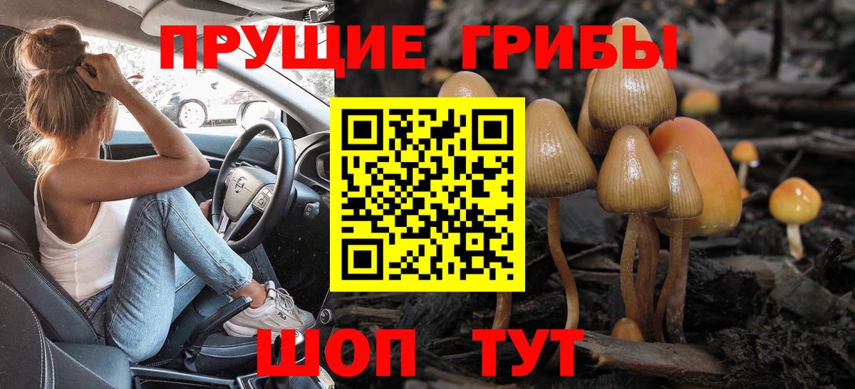 Псилоцибиновые грибы Psilocybe Лыткарино